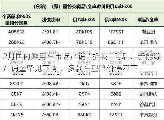 2月国内乘用车市场产销“折戟”背后：新能源产销量罕见下滑 ，多款车型降价停不下