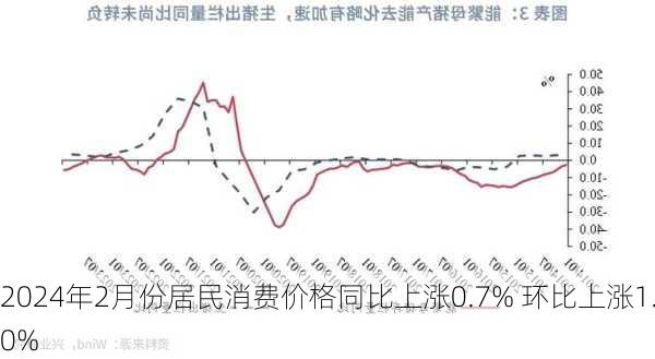 2024年2月份居民消费价格同比上涨0.7% 环比上涨1.0%