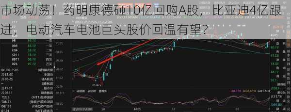 市场动荡！药明康德砸10亿回购A股，比亚迪4亿跟进，电动汽车电池巨头股价回温有望？