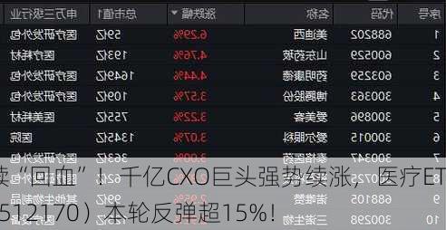 继续“回血”！千亿CXO巨头强势续涨，医疗ETF（512170）本轮反弹超15%！
