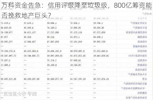 万科资金告急：信用评级降至垃圾级，800亿筹资能否挽救地产巨头？