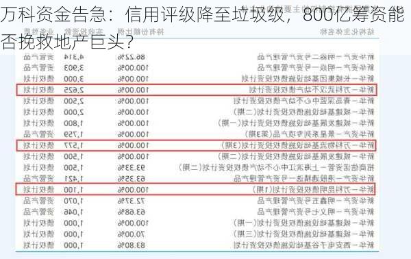 万科资金告急：信用评级降至垃圾级，800亿筹资能否挽救地产巨头？