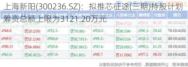 上海新阳(300236.SZ)：拟推芯征途(三期)持股计划 筹资总额上限为3121.20万元