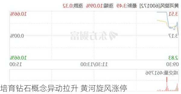 培育钻石概念异动拉升 黄河旋风涨停