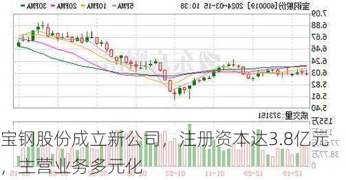 宝钢股份成立新公司，注册资本达3.8亿元，主营业务多元化