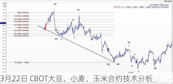 3月22日 CBOT大豆、小麦、玉米合约技术分析