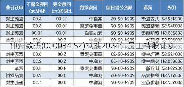 神州数码(000034.SZ)拟推2024年员工持股计划