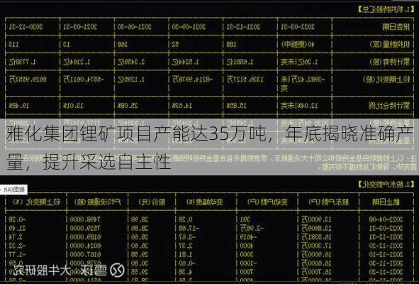 雅化集团锂矿项目产能达35万吨，年底揭晓准确产量，提升采选自主性