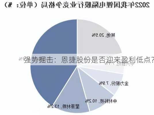 强势掘击：恩捷股份是否迎来盈利低点？