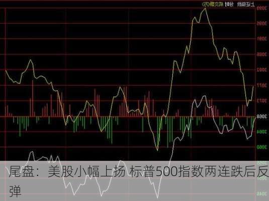 尾盘：美股小幅上扬 标普500指数两连跌后反弹