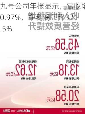 九号公司年报显示，营收增长0.97%，净利润下降32.5%