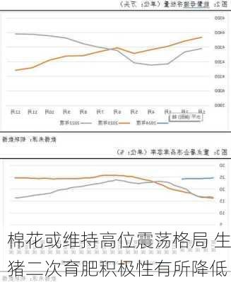 棉花或维持高位震荡格局 生猪二次育肥积极性有所降低