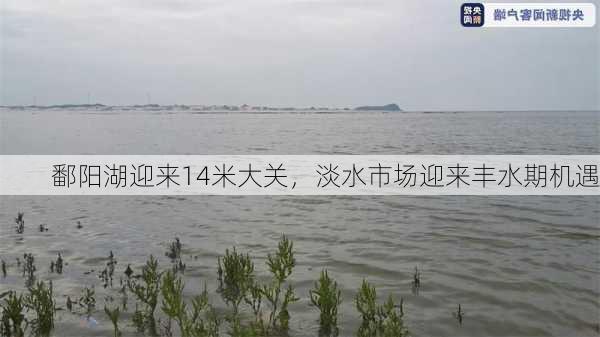 鄱阳湖迎来14米大关，淡水市场迎来丰水期机遇