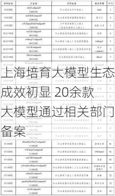 上海培育大模型生态成效初显 20余款大模型通过相关部门备案