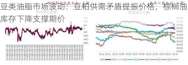 豆类油脂市场波动：豆粕供需矛盾提振价格，棕榈油库存下降支撑期价