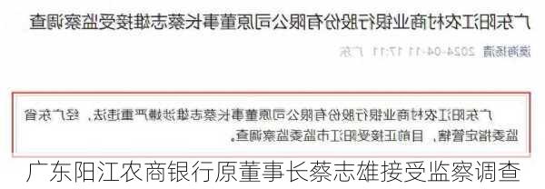 广东阳江农商银行原董事长蔡志雄接受监察调查