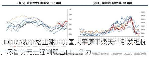 CBOT小麦价格上涨：美国大平原干燥天气引发担忧，尽管美元走强削弱出口竞争力