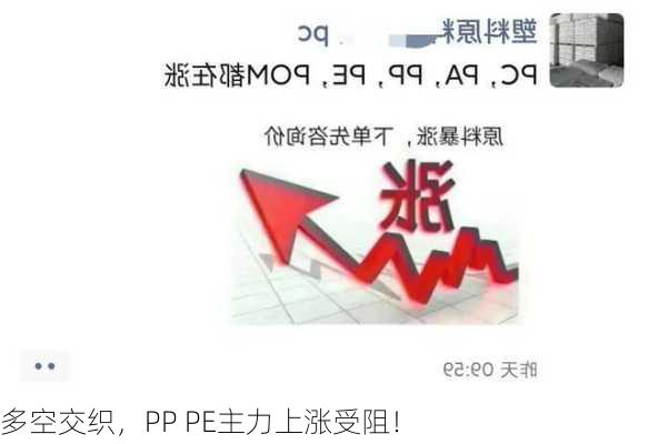 多空交织，PP PE主力上涨受阻！