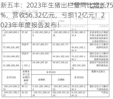 新五丰：2023年生猪出栏量同比增长75%，营收56.32亿元，亏损12亿元！2023年年度报告发布！