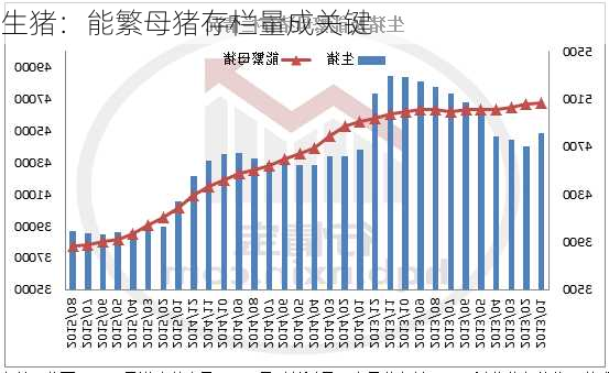 生猪：能繁母猪存栏量成关键