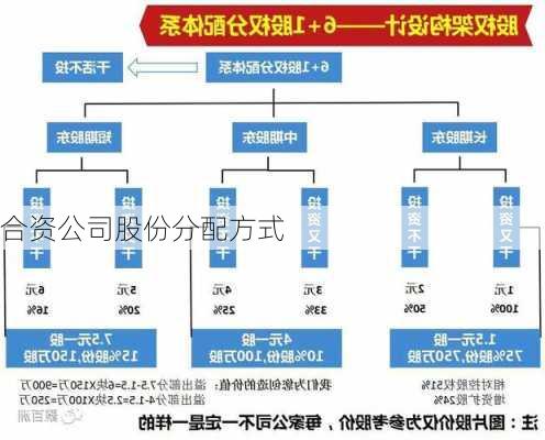 合资公司股份分配方式