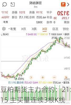 豆粕期货主力合约：21:15 主买量连续3根K线