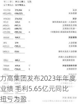 力高集团发布2023年年度业绩 毛利5.65亿元同比扭亏为盈