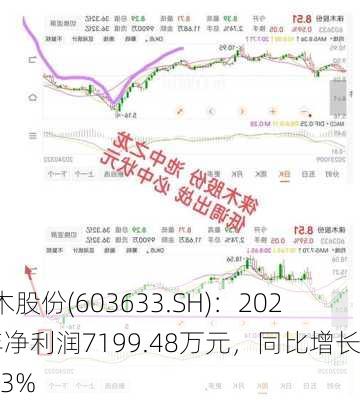 徕木股份(603633.SH)：2023年净利润7199.48万元，同比增长5.33%