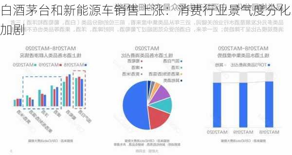 白酒茅台和新能源车销售上涨：消费行业景气度分化加剧