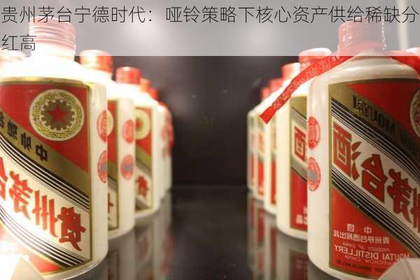 贵州茅台宁德时代：哑铃策略下核心资产供给稀缺分红高