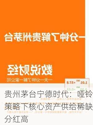 贵州茅台宁德时代：哑铃策略下核心资产供给稀缺分红高