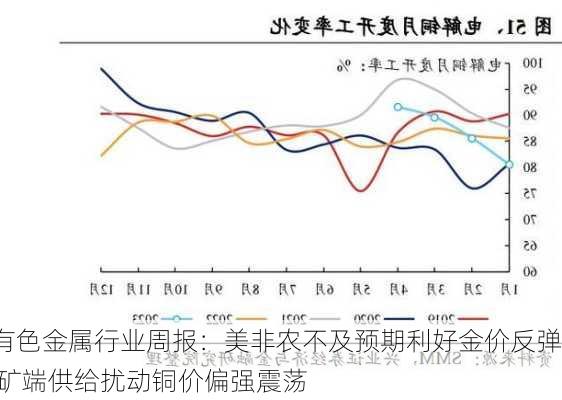 有色金属行业周报：美非农不及预期利好金价反弹 矿端供给扰动铜价偏强震荡