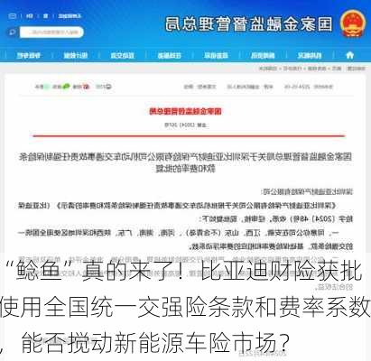 “鲶鱼”真的来了！比亚迪财险获批使用全国统一交强险条款和费率系数，能否搅动新能源车险市场？