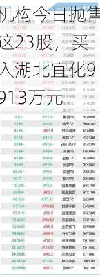 机构今日抛售这23股，买入湖北宜化9913万元