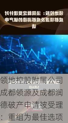 领地控股附属公司成都领源及成都润德破产申请被受理：重组为最佳选项