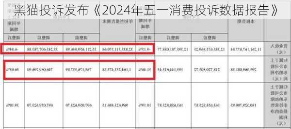 黑猫投诉发布《2024年五一消费投诉数据报告》