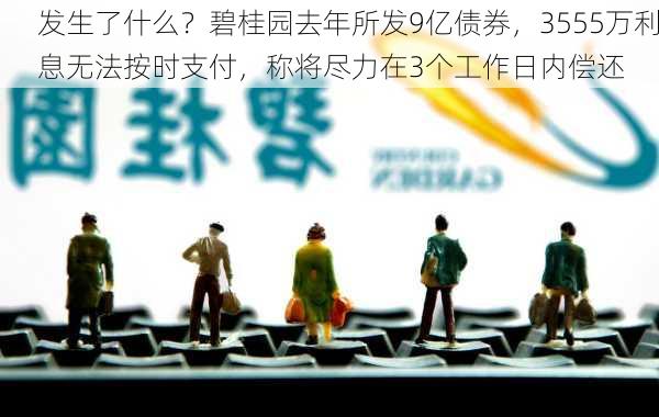 发生了什么？碧桂园去年所发9亿债券，3555万利息无法按时支付，称将尽力在3个工作日内偿还