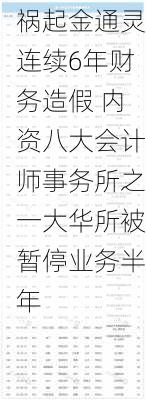 祸起金通灵连续6年财务造假 内资八大会计师事务所之一大华所被暂停业务半年