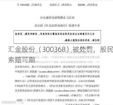 汇金股份（300368）被处罚，股民索赔可期