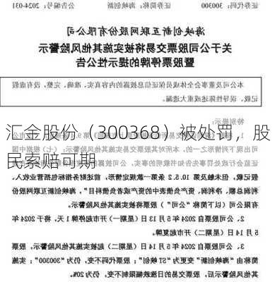 汇金股份（300368）被处罚，股民索赔可期