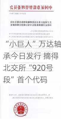 “小巨人”万达轴承今日发行 摘得北交所“920号段”首个代码