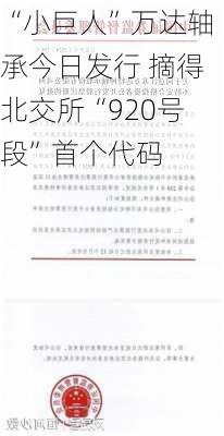 “小巨人”万达轴承今日发行 摘得北交所“920号段”首个代码