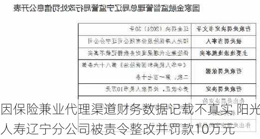 因保险兼业代理渠道财务数据记载不真实 阳光人寿辽宁分公司被责令整改并罚款10万元