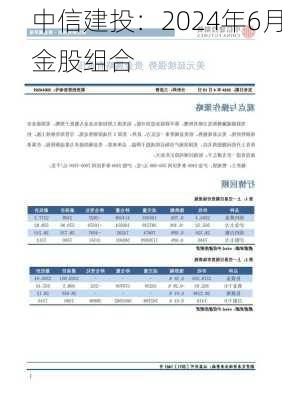 中信建投：2024年6月金股组合