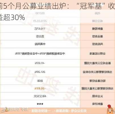 前5个月公募业绩出炉：“冠军基”收益超30%