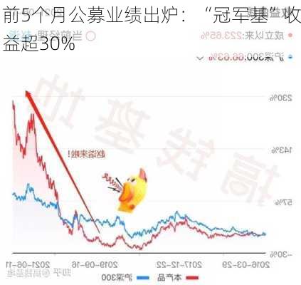 前5个月公募业绩出炉：“冠军基”收益超30%