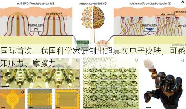 国际首次！我国科学家研制出超真实电子皮肤，可感知压力、摩擦力