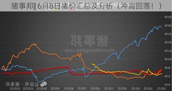 猪事邦|| 6月8日猪价汇总及分析（冲高回落！）