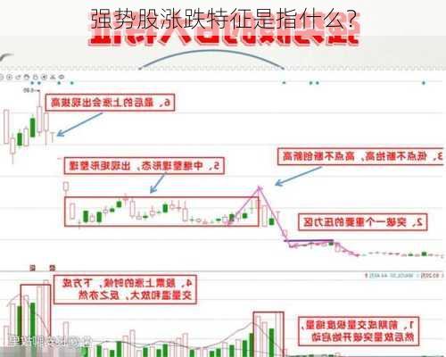 强势股涨跌特征是指什么？