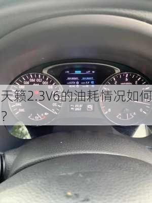 天籁2.3V6的油耗情况如何？